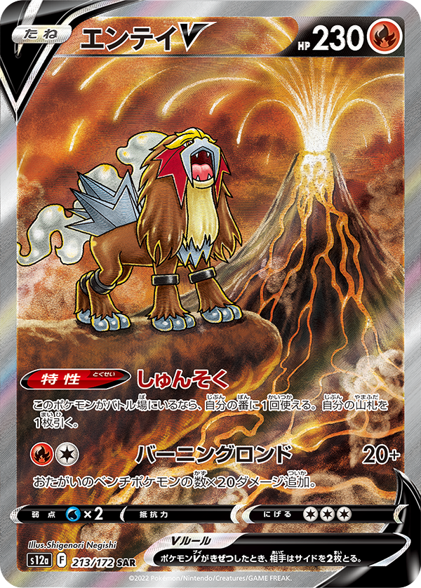 Raikou V SAR 218/172 s12a VSTAR Universe Pokemon Card Japanese